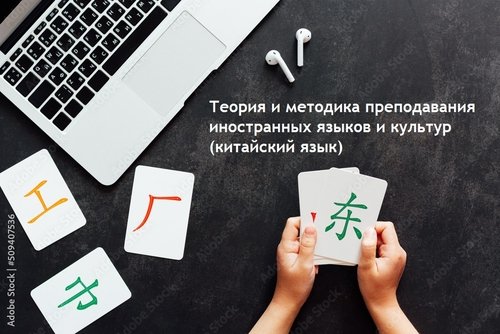 Теория и методика преподавания иностранных языков и культур (китайский язык)